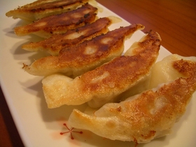 サクッもちっジュワーとおいしいザ・餃子
