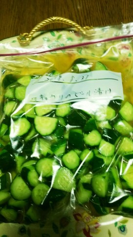 簡単!キュウリのビール漬け(^q^)