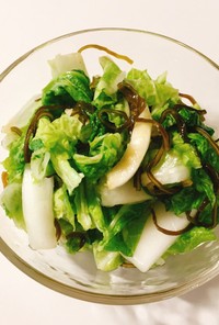 白菜と塩昆布の簡単漬物