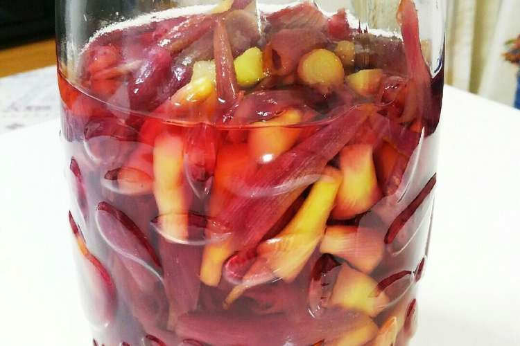 茎茗荷の 甘酢ずけ レシピ 作り方 By Kyouko クックパッド 簡単おいしいみんなのレシピが375万品