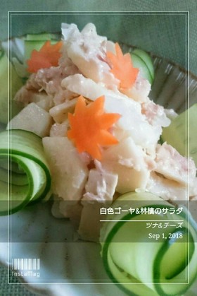 白色ゴーヤと林檎のサラダ