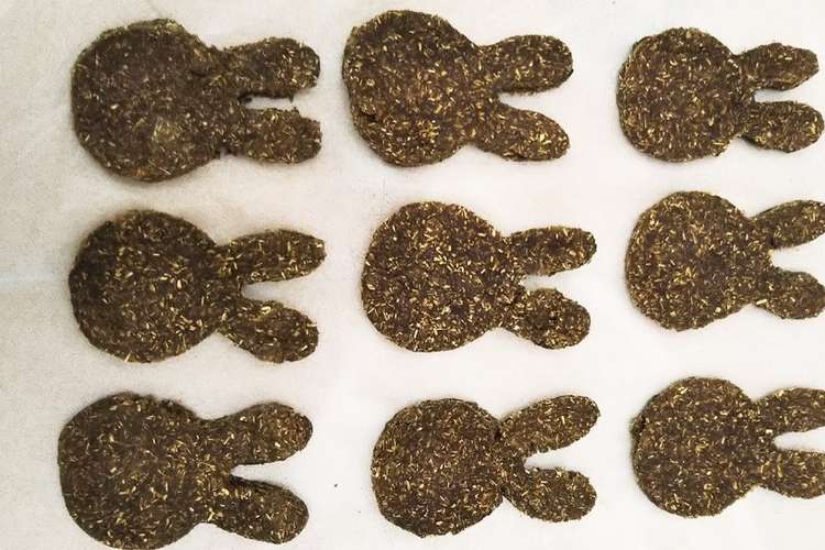 うさぎ用ペレットクッキー 牧草いらず レシピ 作り方 By 雨咲田寝子 クックパッド 簡単おいしいみんなのレシピが359万品