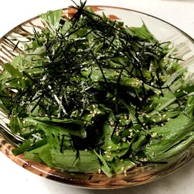 切って混ぜて簡単♡小ねぎのチョレギサラダ