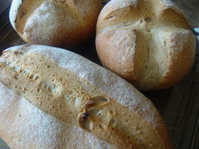 ゴマとくるみのパン･･･イーストのパンの画像
