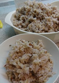 発芽米雑穀麦ご飯