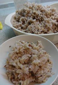 発芽米雑穀麦ご飯
