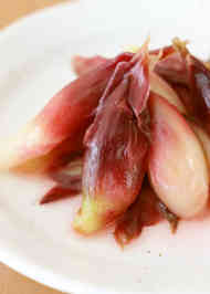 みんなが作ってる 白梅酢のレシピ クックパッド 簡単おいしいみんなのレシピが365万品