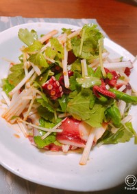 タコとホワイトセロリの韓国風サラダ