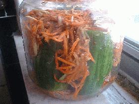 ランタン オイキムチ