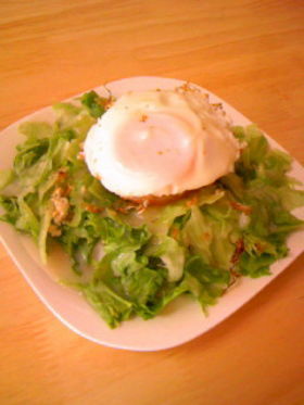 野菜が大盛り♪グリーンロコモコ