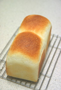たんかん酵母パン　中種法