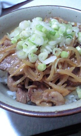 マヨラーカモン!!マヨ豚丼