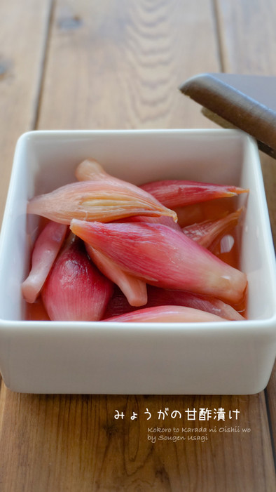 和味☆みょうがの甘酢漬けの写真