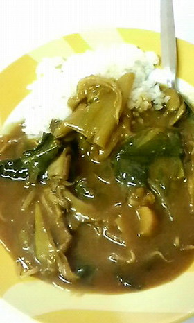 鍋の次の日は☆おいしいお出汁の和風カレー