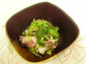春です 簡単ひいかとキャベツのおひたし