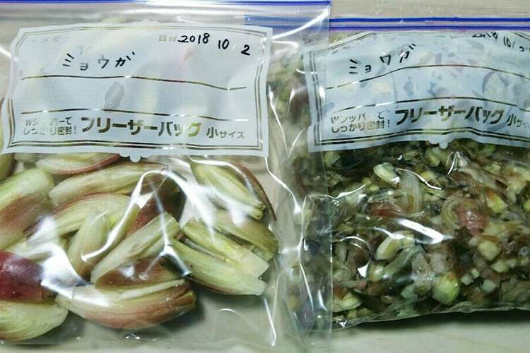 ミョウガ 茗荷 の保存方法 冷凍保存 レシピ 作り方 By クーガー クックパッド 簡単おいしいみんなのレシピが359万品