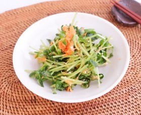 豆苗のサラダ にんじんドレッシング