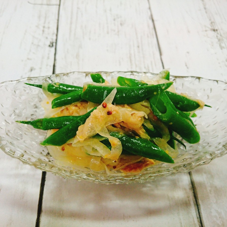インゲンと玉ねぎのツナマスタードサラダの画像