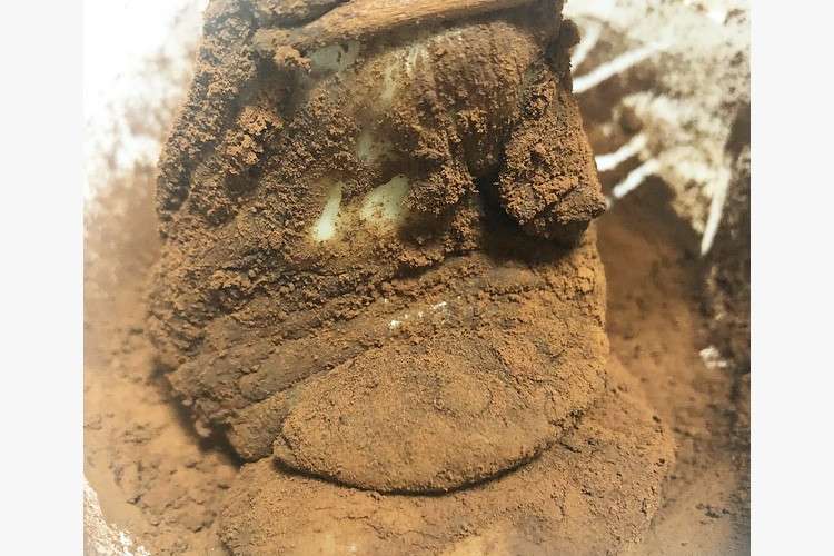 ダイエットおやつ 豆乳ショコラもち レシピ 作り方 By Naturalan クックパッド 簡単おいしいみんなのレシピが360万品