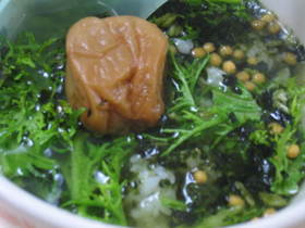 わさび菜と貝割れのお茶漬け