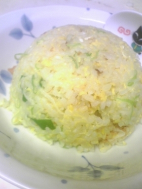 ネギ塩☆黄金炒飯♪
