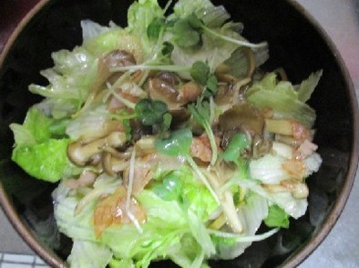 『きのこ』と生姜のレタスサラダの写真