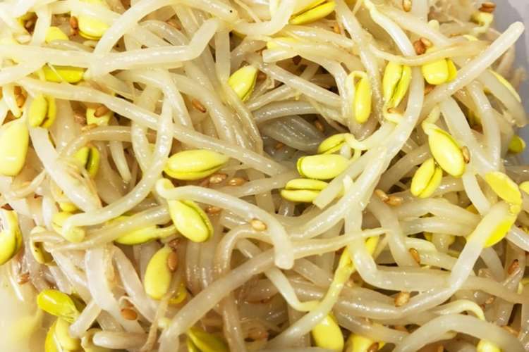 豆もやしのナムル 冷蔵庫で5日保存 レシピ 作り方 By クックsrs595 クックパッド 簡単おいしいみんなのレシピが355万品