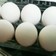簡単❗生卵の賞味期限管理✨