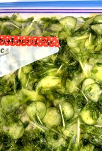 きゅうり 水菜 レタスのマリネ 冷凍保存