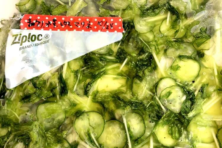 きゅうり 水菜 レタスのマリネ 冷凍保存 レシピ 作り方 By ユウマウス クックパッド