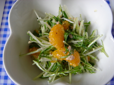 水菜のサラダの写真