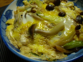 目先を変えて 他人丼