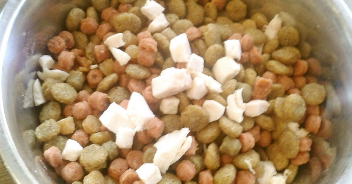 老犬ご飯 鶏胸肉のトッピング 改訂版 レシピ 作り方 By ミャル クックパッド 簡単おいしいみんなのレシピが352万品