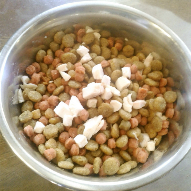 老犬ご飯 鶏胸肉のトッピング 改訂版 レシピ 作り方 By ミャル クックパッド 簡単おいしいみんなのレシピが360万品