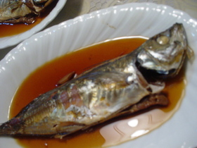 簡単☆あじの煮付け