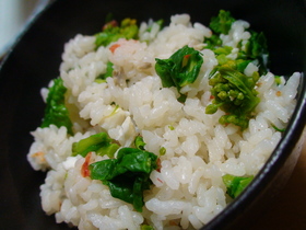 菜の花の季節になったねごはん。
