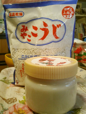 老犬ご飯 犬用甘酒 人間にも!