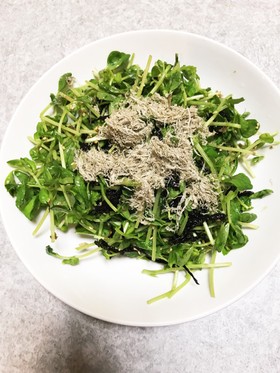 美味すぎる!簡単豆苗と韓国海苔のサラダ