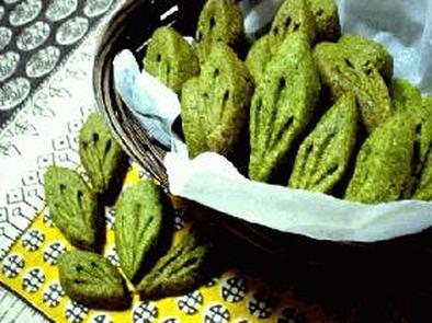 鮮やかグリーン*緑茶で葉っぱのクッキーの写真