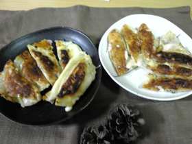 残り物でバラエティー餃子