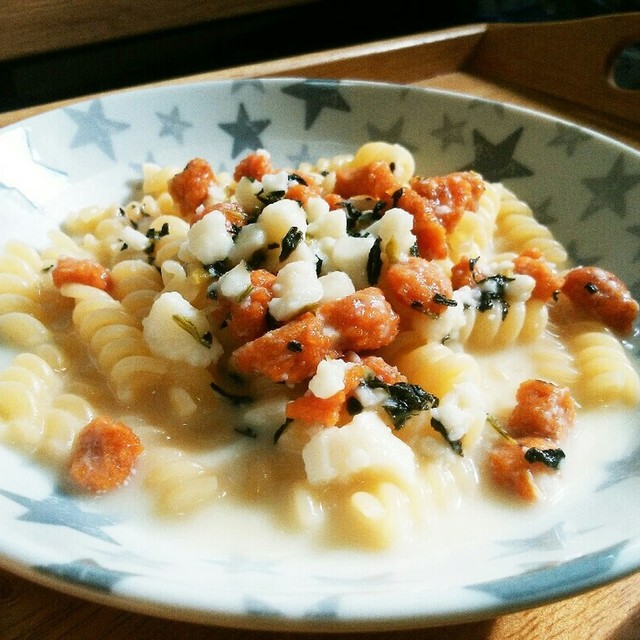 犬ご飯 鮭とほうれん草のパスタ レシピ 作り方 By Ronreo クックパッド 簡単おいしいみんなのレシピが359万品