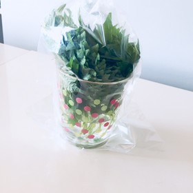 超おすすめです♡ 大葉の保存方法