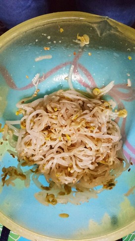 ビビンバ用!もやしのナムル