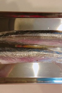 秋刀魚の簡単内臓処理＆長持ち保存方法