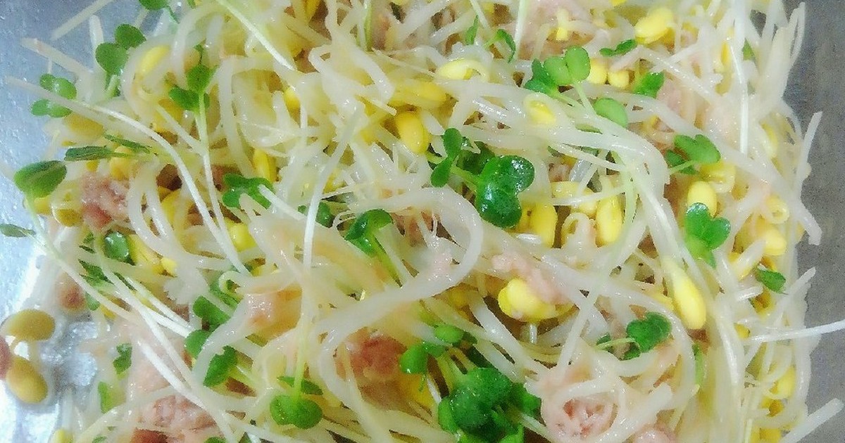 我が家の簡単常備菜 豆もやしナムル レシピ 作り方 By 政宗withとろろ クックパッド 簡単おいしいみんなのレシピが361万品