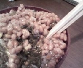 衝撃!!納豆茶づけ