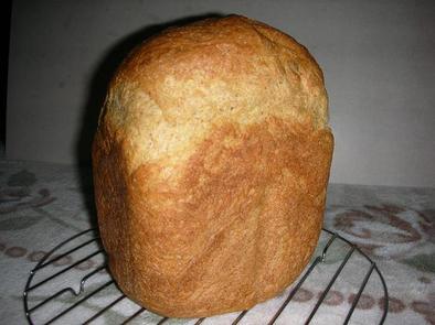 HBで小麦胚芽入り食パンの写真