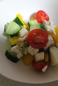 ささみ&野菜のチョップドサラダ