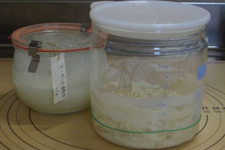 自家製ヨーグルト酵母 元種つくりまで レシピ 作り方 By くっくみっぽ クックパッド 簡単おいしいみんなのレシピが360万品