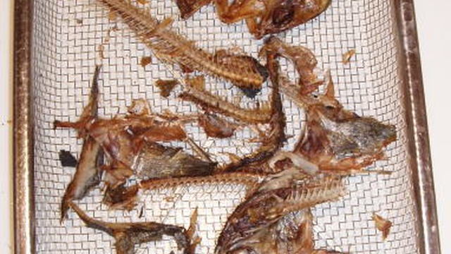 犬用 お手軽骨せんべい レシピ 作り方 By ばあやん クックパッド 簡単おいしいみんなのレシピが360万品